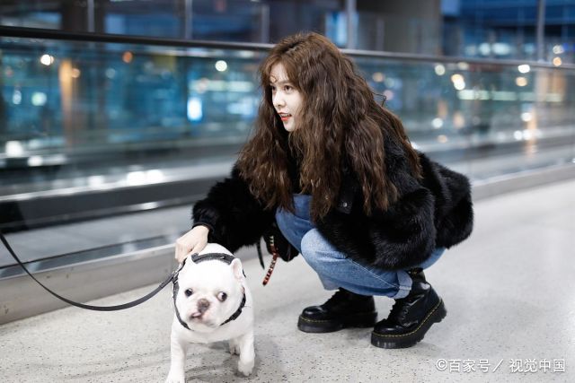 宋妍霏顶"泰迪卷"发型亮相随意不羁,牵斗牛犬穿黑大衣秒变贵妇